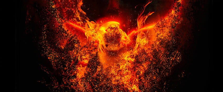 Phoenix Rising