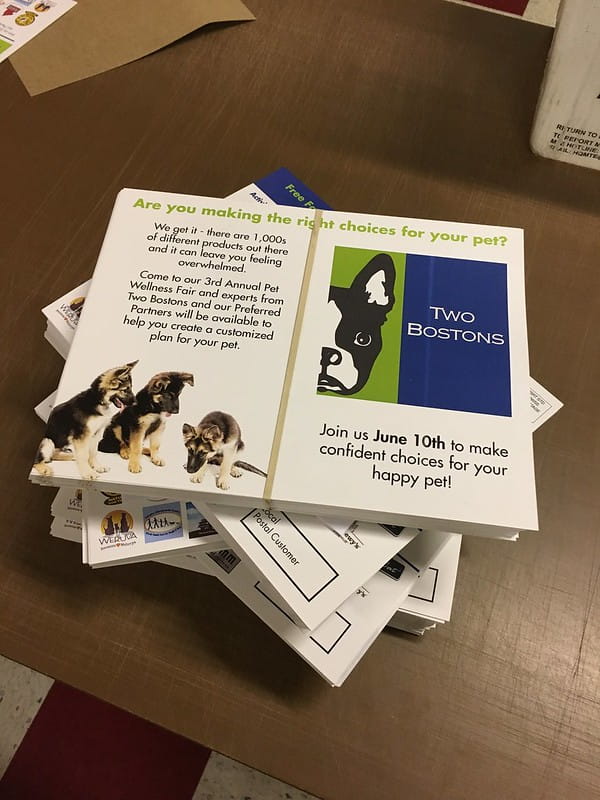 Advanced mailer for an pet adoption festival